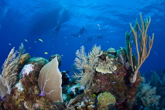 Cayman Islands