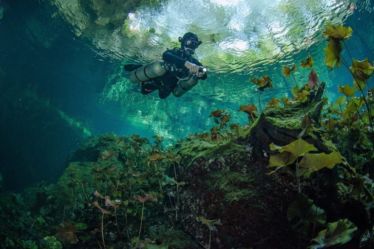 pro dive playa del carmen